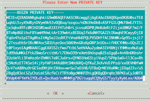 ../../../_images/insights-network-config-apache-certs-insert-new-priv-key.png