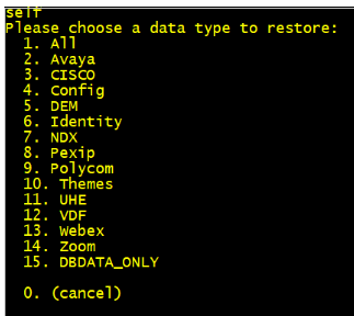 ../../../_images/data-type-to-restore-dash-cli.png