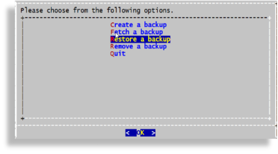 ../../../_images/restore-a-backup-dash-cli.png