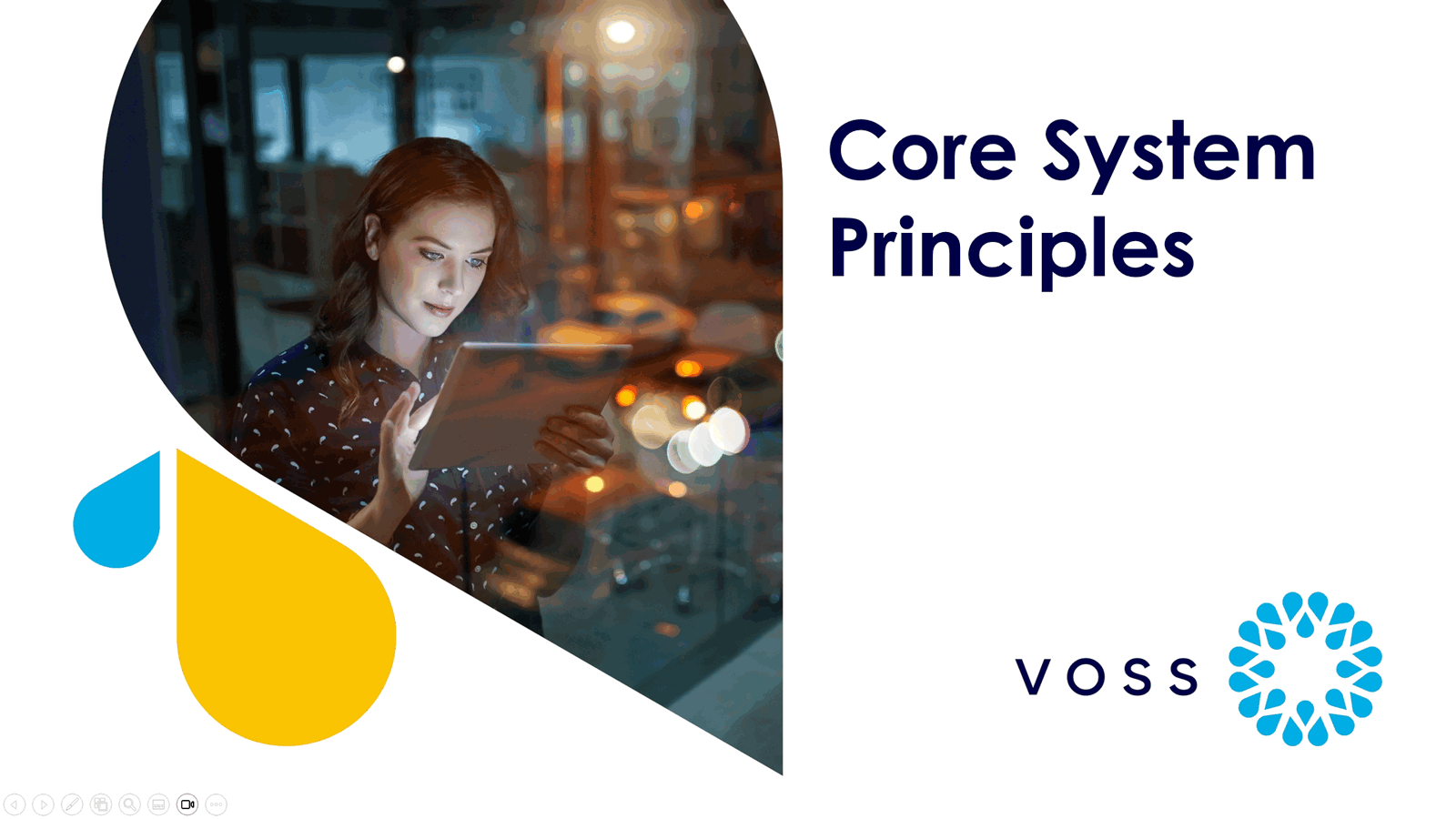 30-1-CoreSystemPrinciples