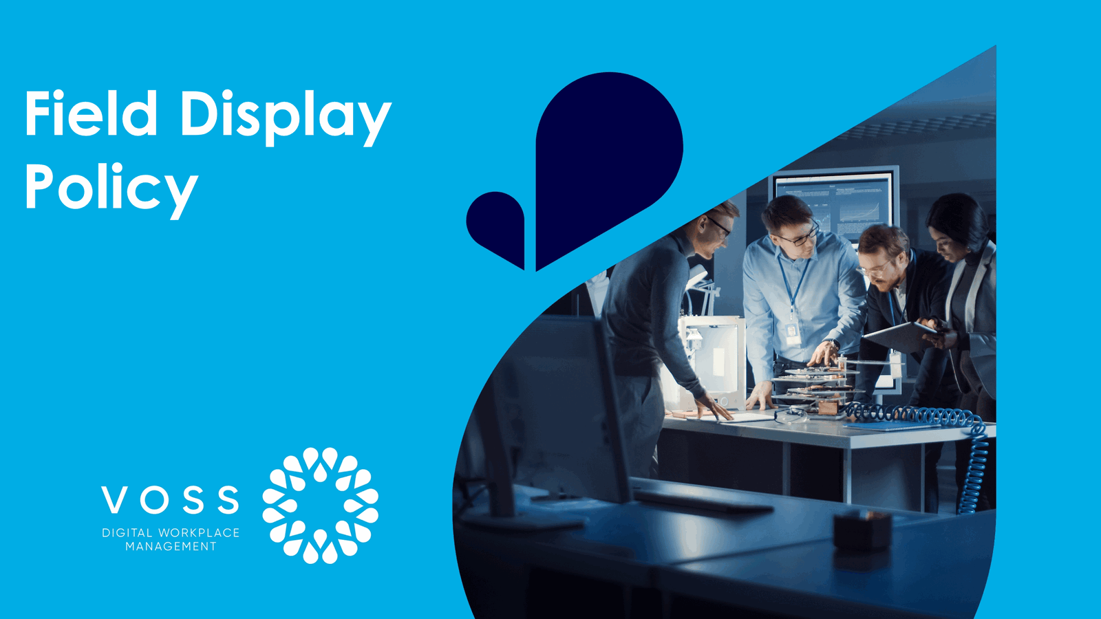 34-1-FieldDisplayPolicy