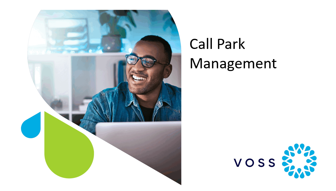 Call-Park-Management-video